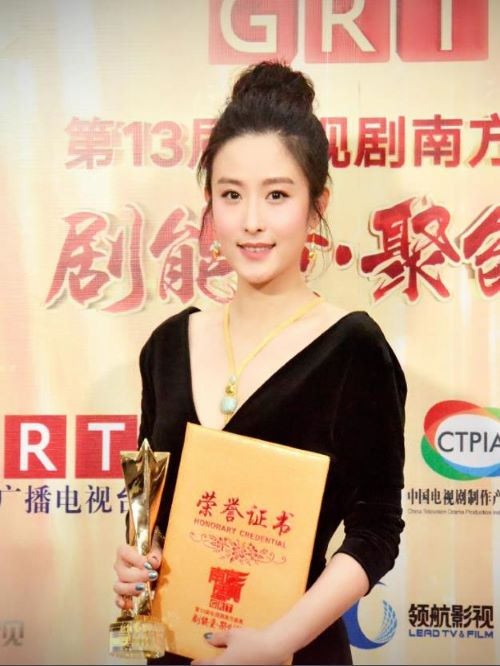 第13届电视剧 南方盛典