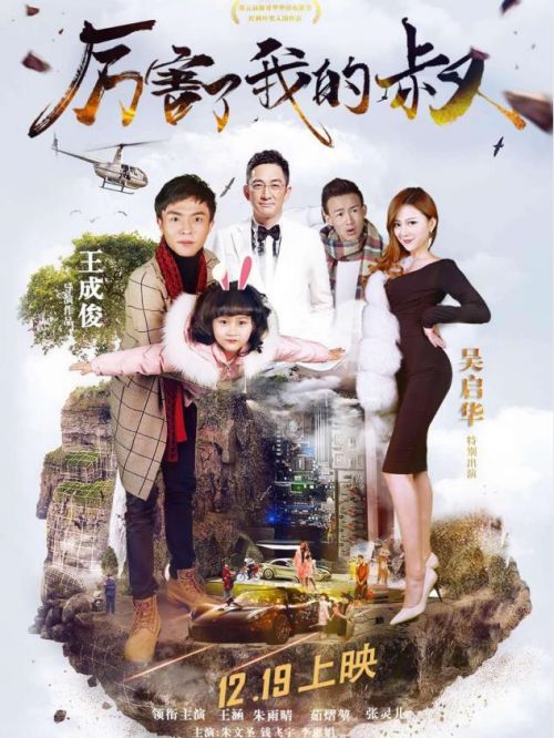 《厉害了我的叔》