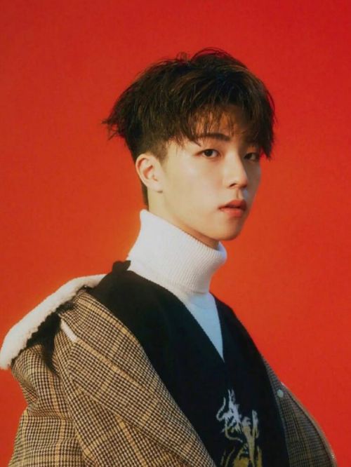 陈立农，2000年10月3日出生于台湾省高雄市，中国台湾流行乐男歌手、影视演员。
2018年，参加爱奇艺偶像男团竞演养成类真人秀节目《偶像练习生》，获得第2名，并加入男子演唱组合NINE PERCENT；5月5日，随NINE PERCENT在上海举行巡演首站；6月20日，为电影《解码游戏》演唱同名主题曲；9月，参加生活纪实观察类慢综艺《Hi室友》；10月3日，推出个人单曲《我是你的》 ；11月，参加真人秀节目《完美的餐厅》；11月20日，随NINE PERCENT推出组合首张音乐专辑《TO THE NINES》。2019年1月1日，推出个人单曲《一半是我》；1月5日，为电视剧《幕后之王》演唱片头曲 ；其后，主演古装奇幻电影《赤狐书生》；10月31日，推出个人单曲《专属合约》；11月19日，正式成为环球音乐签约歌手。2020年1月1日，加盟环球音乐后的首支音乐作品《幸福特写》上线；5月29日，发行首张个人专辑《格格不入》。2021年12月31日，发行专辑《日心说》。