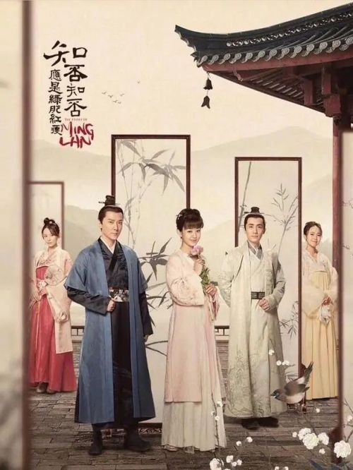 《知否知否应是绿肥红瘦》