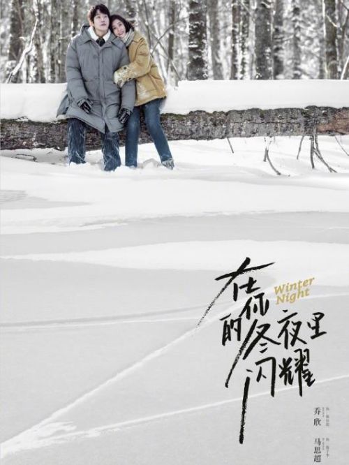 《在你的冬夜里闪耀》