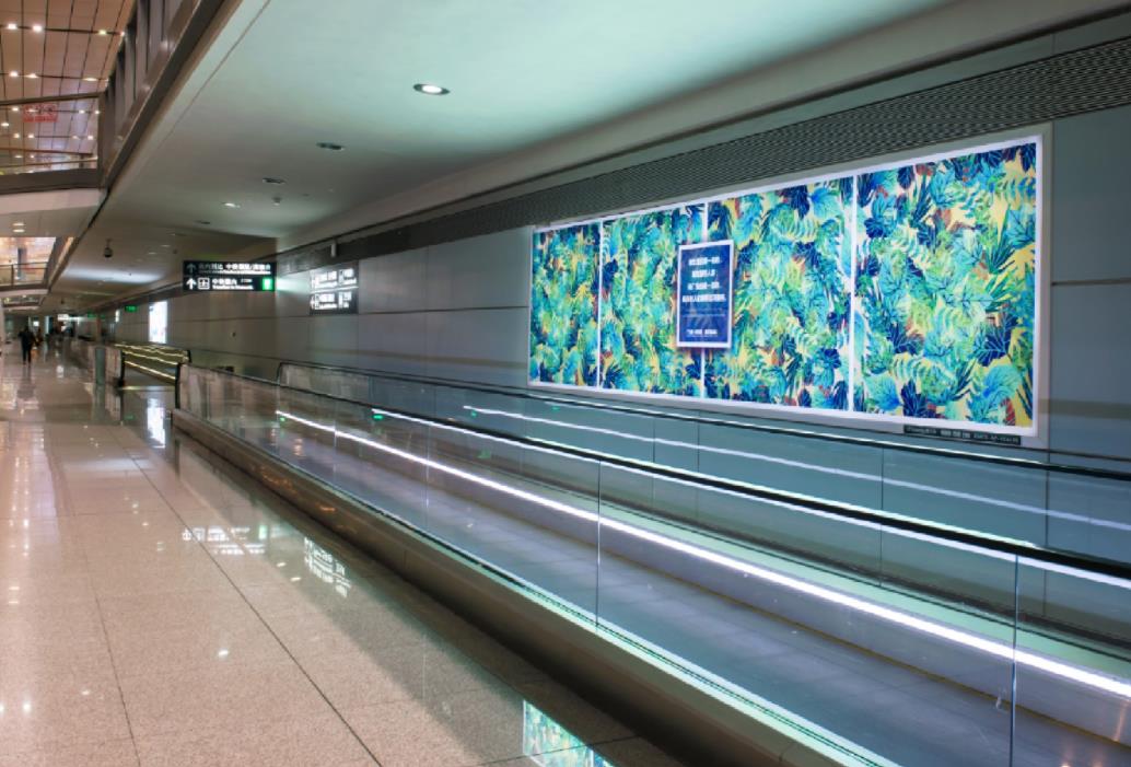 1699515693540032.jpg 15.jpg